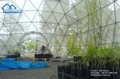 Garden Geodesic Dome Tents