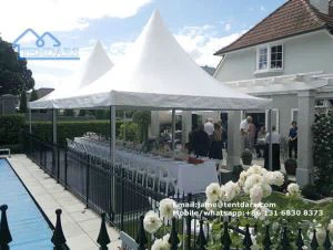Aluminium Pagoda Canopy